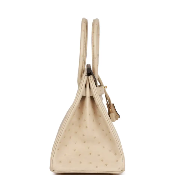 hermès birkin 30 parchemin ostrich gold hardware