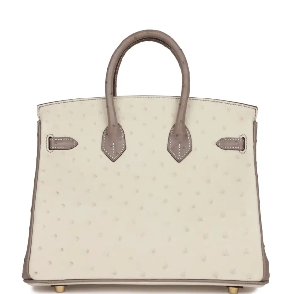 hermès special order (hss) birkin 25 beton and gris asphalte ostrich brushed gold hardware