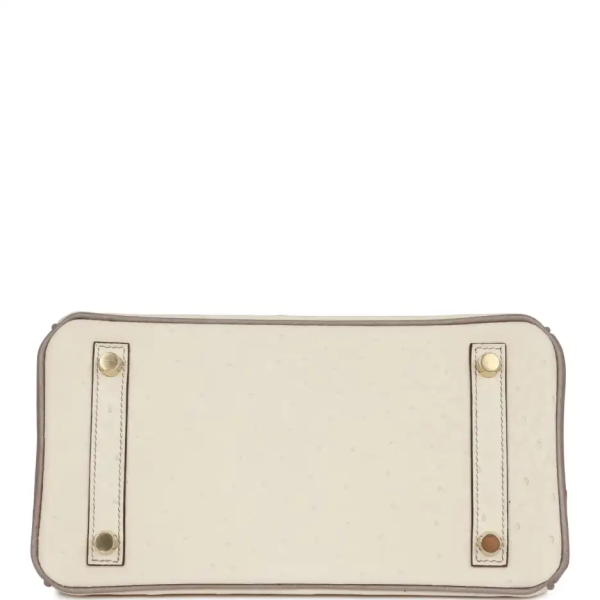 hermès special order (hss) birkin 25 beton and gris asphalte ostrich brushed gold hardware