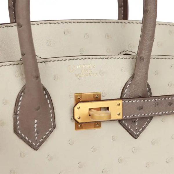 hermès special order (hss) birkin 25 beton and gris asphalte ostrich brushed gold hardware
