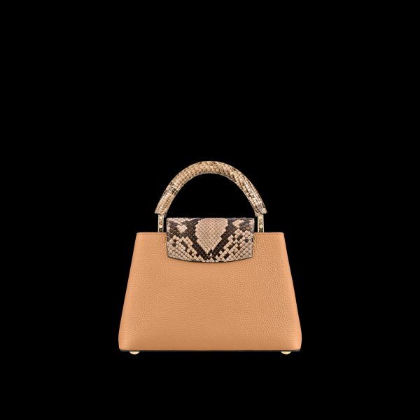capucines bb bag n80741